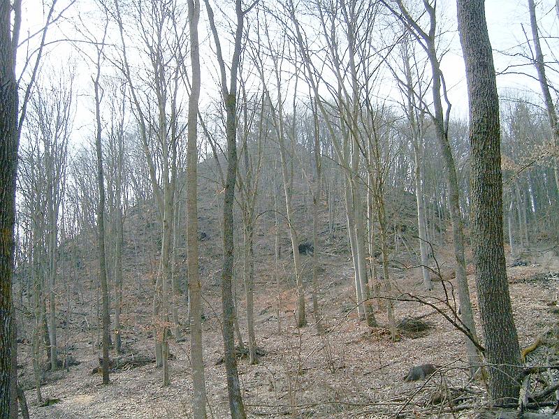 2010.03.20 056.jpg